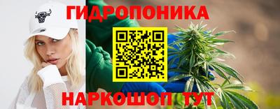 СК Кинель