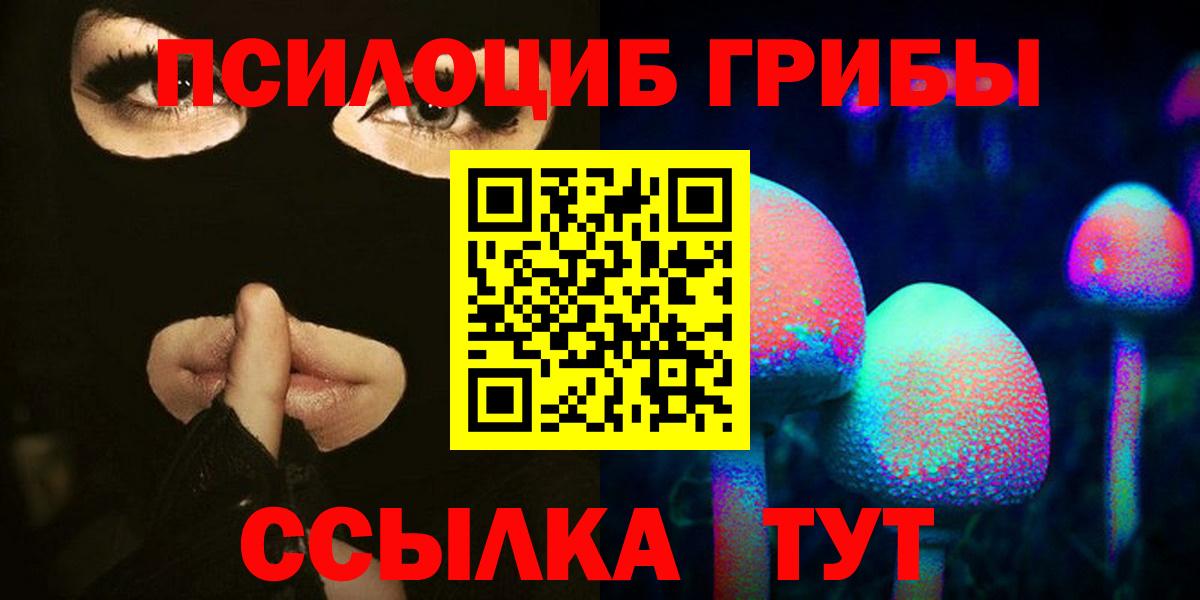 Гусь-Хрустальный  Псилоцибиновые грибы мицелий  Вход с VPN  Галлюциногенные грибы Psilocybine cubensis 