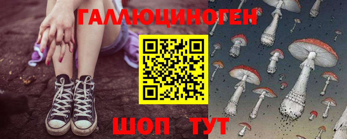 Галлюциногенные грибы мухоморы Гусь-Хрустальный